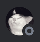 Discord profile picture with cat